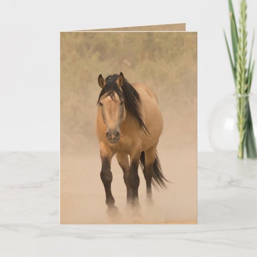 Uit het Dust Wild Horse Wenskaart Kaart (Voorkant)
