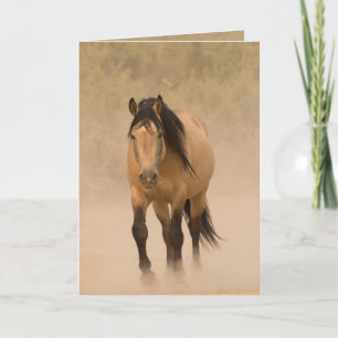 Uit het Wenskaart van de Dust Wild Horse Kaart