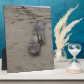 Uit het Zee Fotoplaat (Zijkant)