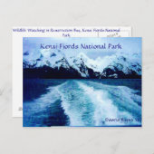 Uit in de baai briefkaart (Voorkant / Achterkant)