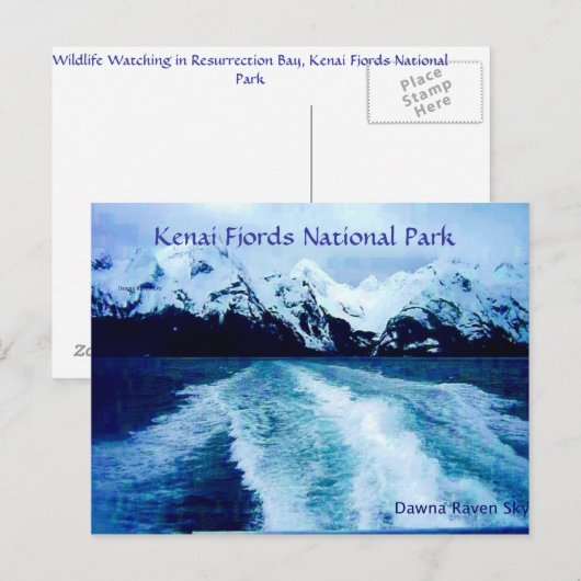 Uit in de baai briefkaart (Voorkant / Achterkant)