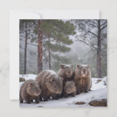 Uit in de kou: Wombat Verjaardag Kaart (Achterkant)