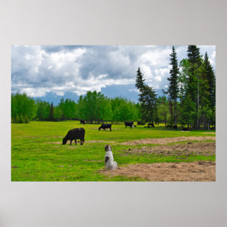 Uit in het Poster van de Pasture