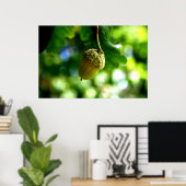 Uit kleine zuren groeien machtige eikels poster (Thuiskantoor)