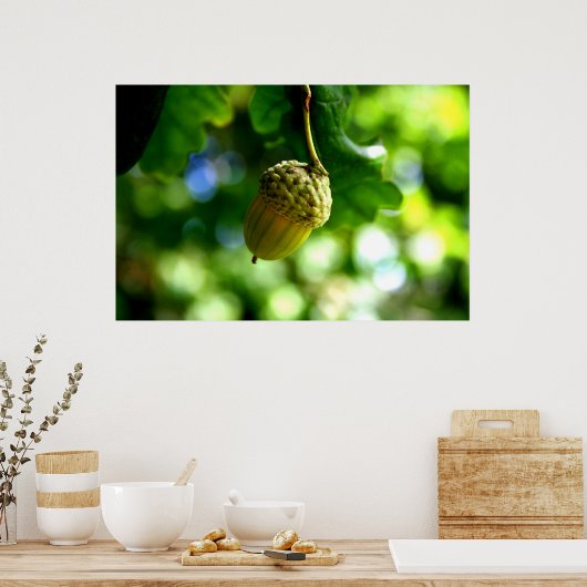 Uit kleine zuren groeien machtige eikels poster (Keuken)