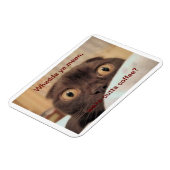 Uit koffie, grappig magneet (Linkerzijde)