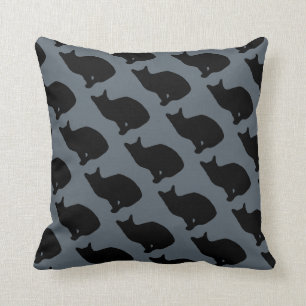 Uit liefde voor katten kussen