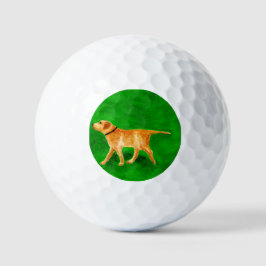 Uit met de hond wandelen golfballen