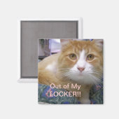 Uit mijn kluismagneet magneet (Voorkant / Achterkant)