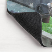 Uit Noms Muismat (Hoek)