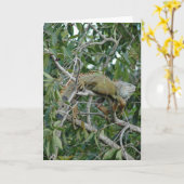 Uit op een Kaart van het Lidmaat (Gele Bloem)