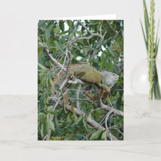 Uit op een Kaart van het Lidmaat