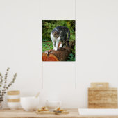 Uit op een kattenwandeling - Kitty Poster (Keuken)