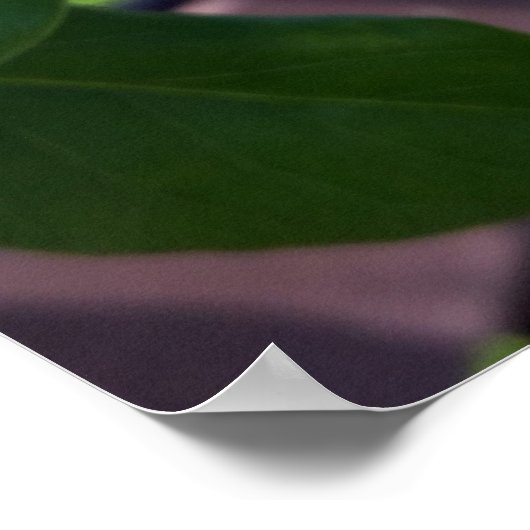 uit rij poster (Hoek)