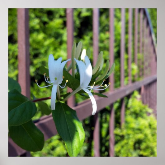 uit rij poster (Voorkant)