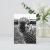 Uit Sight M-a-a-a-n Briefkaart (Staand voorkant)