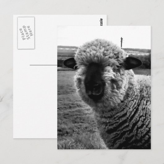 Uit Sight M-a-a-a-n Briefkaart (Voorkant / Achterkant)