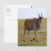 UIT VOOR EEN WANDELING BRIEFKAART (Voorkant / Achterkant)