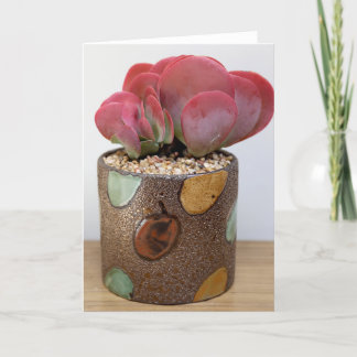 Uitbarsting van rood-Oranje Notecard - Succulent Kaart