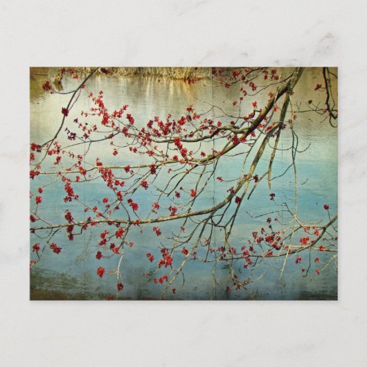 Uitboeking Briefkaart (Voorkant)