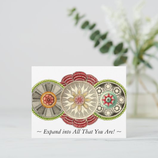 Uitbreiding naar alles wat je bent Briefkaart! Briefkaart (Staand voorkant)