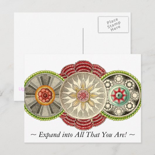 Uitbreiding naar alles wat je bent Briefkaart! Briefkaart (Voorkant / Achterkant)