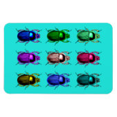 Uitbukken: Kleurrijke kever bugs Magneet (Horizontaal)