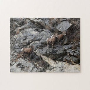 Uitdagende Bighorn Schaap Georgetown Colorado Legpuzzel