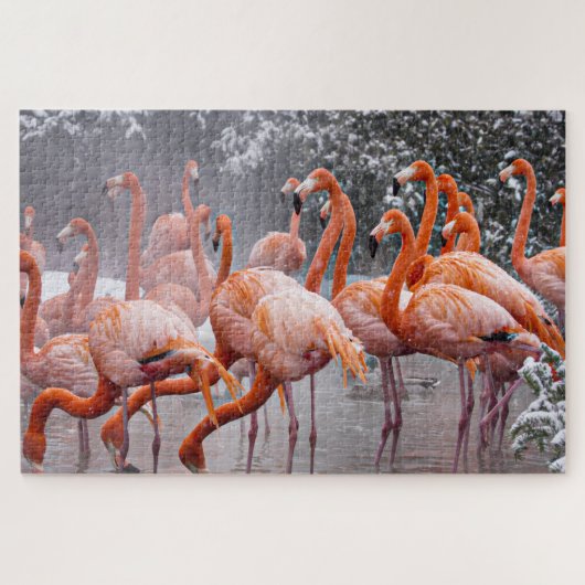 Uitdagende Flamingo's Foto Legpuzzel (Horizontaal)
