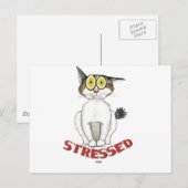 Uitdrukkelijke kat Lucy Briefkaart (Voorkant / Achterkant)