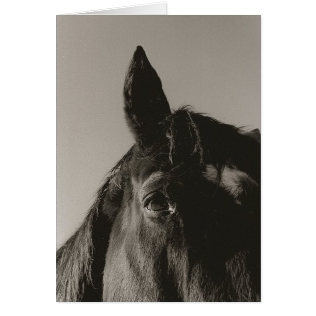 Uitdrukking (Voorkant)