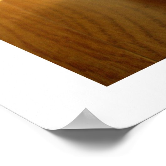 Uitdrukkingen van een cavia poster (Hoek)