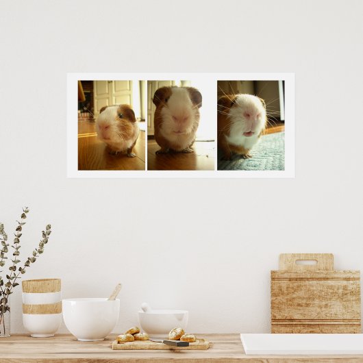 Uitdrukkingen van een cavia poster (Keuken)