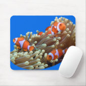 Uiteenzetten met clown Fish Muismat (Met muis)