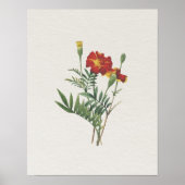 uiterlijk botanische goudsbloemen poster (Voorkant)