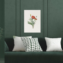  uiterlijk botanische goudsbloemen poster