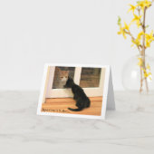 Uiterst klein Zwart Katje en de Oranje Kat van de Kaart (Gele Bloem)