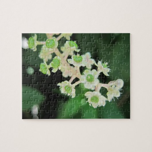 Uiterst kleine Bloemen die de Puzzel van de (Horizontaal)