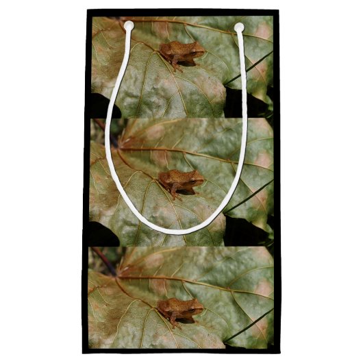 Uiterst kleine Pad Klein Cadeauzakje (Voorkant)