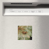 Uiterst kleine Pad Magneet (Insitu (Vaatwasser))