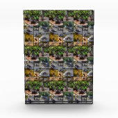 **"Uiterst Schattig: een fotocollage van otters Fotoblokken (Voorkant)