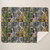 **"Uiterst Schattig: een fotocollage van otters Sherpa Deken (Voorkant (horizontaal))