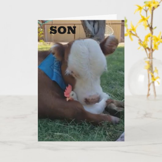 UITERSTE DAG ***SON** KAART (Gele Bloem)