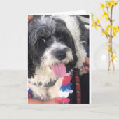 **UITERSTE TWEEDE MAAND* Kaart (Gele Bloem)