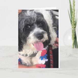 **UITERSTE TWEEDE MAAND* Kaart