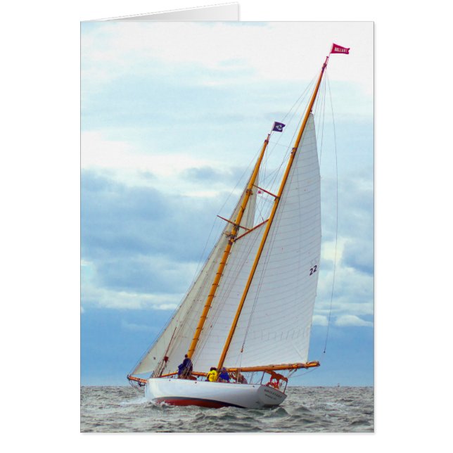 Uitgaand op de briljante (Voorkant)