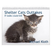 Uitgangen voor Shelter Cats Kalender (Hoes)