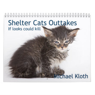 Uitgangen voor Shelter Cats Kalender