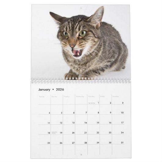 Uitgangen voor Shelter Cats Kalender (Jan 2026)