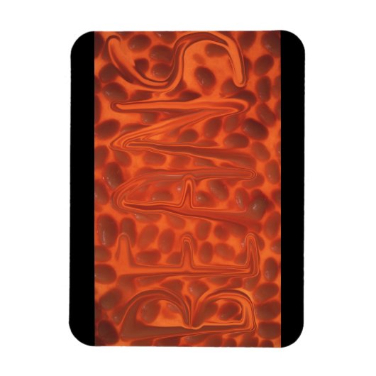 Uitgebotte bonen magneet (Verticaal)